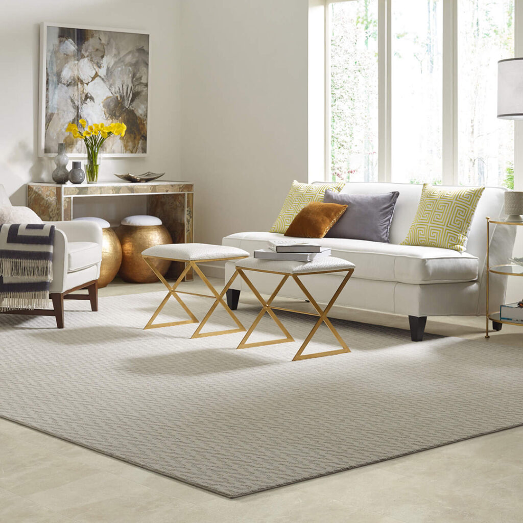 Area Rug | Larry Lint Flooring